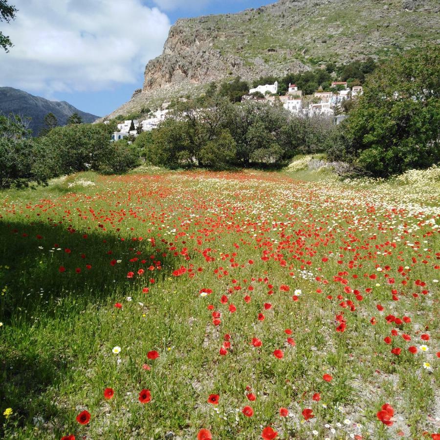 Tilos Island House Villa Megálon Choríon Exterior foto